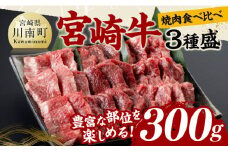 宮崎牛 焼肉 食べ比べ 3種盛 300g【 肉 牛肉 国産 宮崎県産 黒毛和牛 和牛 焼肉 バーベキュー 】
