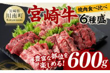 宮崎牛 焼肉 食べ比べ 6種盛 600g 【 肉 牛肉 国産 宮崎県産 黒毛和牛 和牛 焼肉 バーベキュー 】