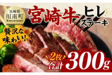 宮崎牛 ヒレステーキ 300g 【 肉 牛肉 国産 宮崎県産 黒毛和牛 ヒレステーキ 】