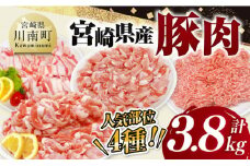 宮崎県産豚肉 4種 3.8kg 【 豚肉 豚 肉 宮崎県産 セット 切り落とし しゃぶしゃぶ ミンチ 送料無料 】