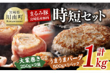 「まるみ豚」宮崎県産豚肉 時短セット【 豚肉 豚 肉 国産 川南町 時短 セット 宮崎県産 】