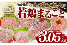 宮崎県産若鶏　まるごと3.05kg 【 もも むね ささみ 砂肝 手羽先 手羽元 小肉 鶏肉 とり肉 セット ごはん 料理 】