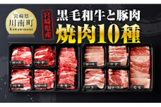 宮崎県産 黒毛和牛 と 豚肉 焼肉 10種 【 肉 牛 牛肉 豚肉 豚 ぶた肉 国産 黒毛和牛 BBQ 焼肉 ロース カタロース バラ モモ ウデ 】