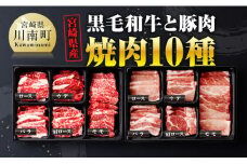 宮崎県産 黒毛和牛 と 豚肉 焼肉 10種 【 肉 牛 牛肉 豚肉 豚 ぶた肉 国産 黒毛和牛 BBQ 焼肉 ロース カタロース バラ モモ ウデ 】