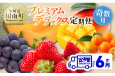 【 全6回定期便 】 プレミアム デラックス 定期便 【奇数月】 【 川南町産 きんかん いちご 完熟 マンゴー ぶどう ピオーネ 赤肉 メロン 】