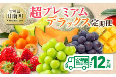 【 12ヶ月定期便 】 超 プレミアム デラックス 定期便 【 川南町産 くだもの きんかん いちご 完熟 マンゴー ぶどう ピオーネ シャイン マスカット 大玉 メロン 】