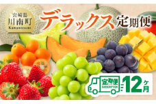 【 12ヶ月定期便 】 デラックス 定期便 【 川南町産 くだもの きんかん いちご 完熟 マンゴー ぶどう ピオーネ シャイン マスカット 大玉 メロン 】