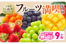【 全9回定期便 】 フルーツ 満喫 定期便 【 川南町産 くだもの きんかん いちご 完熟 マンゴー ぶどう ピオーネ シャインマスカット 】