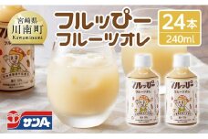 サンA フルッぴーフルーツオレ(PET)240ml×24本 【 川南町 フルーツ 日向夏 キウイ ドリンク 】