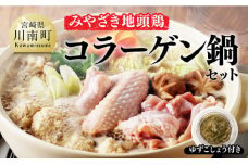 みやざき 地頭鶏　コラーゲン鍋セット【 鶏 肉 鶏肉 国産 とり 九州産 鳥 宮崎県産 モモ ムネつくね 手羽 】