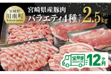 【12ヶ月定期便】宮崎県産豚肉バラエティ4種セット2.5kg【 肉 豚 豚肉 ロース バラ 切り落とし 】