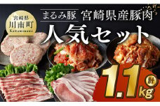 「まるみ豚」宮崎県産豚肉　人気セット　計1.1kg 【 豚肉 豚 肉 国産 川南町 ウデ モモ ハンバーグ ローススライス バラスライス 】