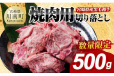 【数量限定】宮崎県産黒毛和牛　焼肉用切り落とし500g 【 牛肉 国産 宮崎県産 宮崎牛 BBQ 】