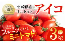宮崎県産ミニトマト「アイコ」3kg【 宮崎県産 ミニトマト トマト 】