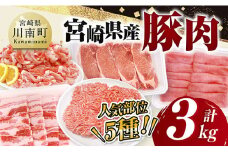 宮崎県産豚肉5種　3kg 【 豚肉 ぶた肉 肉 ロース バラ 切り落とし ミンチ 焼肉用 豚肉セット 】