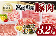 宮崎県産豚肉5種　3.2kg 【 豚肉 ぶた肉 肉 ロース バラ 切り落とし ミンチ 焼肉用 しゃぶしゃぶ 豚肉セット 】