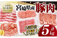 宮崎県産豚肉5種　5kg 【 豚肉 ぶた肉 肉 ロース バラ 切り落とし ミンチ 豚肉セット 】