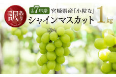 【令和７年産】【訳あり】宮崎県産　小粒なシャインマスカット1kg 【 ぶどう 果物 葡萄 フルーツ ブドウ デザート 川南町産 数量限定 期間限定 】