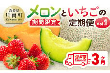 ※期間限定※【3ヶ月定期便】メロンといちごの定期便Vol.1 【 川南町産 くだもの メロン いちご イチゴ  】
