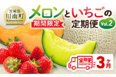 ※期間限定※【3ヶ月定期便】メロンといちごの定期便Vol.2 【 川南町産 くだもの メロン いちご イチゴ  】
