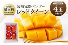 【令和8年発送】宮崎県産完熟マンゴー　「レッドクイーン」4玉(800g) 【 果物 フルーツ マンゴー 宮崎県産 完熟マンゴー みやざきマンゴー 先行予約 数量限定 期間限定 】