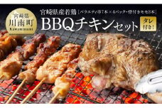 ※令和7年8月発送※宮崎県産若鶏　BBQチキンセット（バラエティセット串7本×4P・骨付きモモ3本）タレ付き！ 【 肉 鶏肉 串 骨付き バーベキュー 九州産 川南町 おうちごはん 送料無料 】