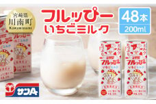 サンAフルッぴー　いちごミルク200ml 紙パック24本入り×2ケース 【 飲料 いちご イチゴ 牛乳 ジュース 長期保存 紙パック 備蓄 九州 宮崎県産 川南町 持運び簡単 送料無料 】