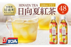 サンA 日向夏 紅茶 HINATA TEA 500mlＰＥＴ 24本 入り×2ケース  【 飲料 日向夏 紅茶 PET セット ジュース 長期保存 送料無料 】