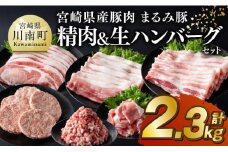 宮崎県産豚肉 「まるみ豚」 精肉&生ハンバーグ セット 計2.3kg 【 肉 豚肉 国産 ハンバーグ 小分け 弁当 おかず お手軽 真空パック ミンチ 挽肉 九州産 宮崎県産 川南町産 送料無料 】