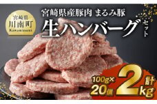 宮崎県産豚肉 「まるみ豚」 生ハンバーグ セット 計2kg（100g×20個） 【 肉 豚肉 国産 ハンバ―グ 弁当 おかず お手軽 真空パック 九州産 宮崎県産 川南町産 送料無料 】