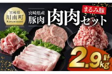 宮崎県産豚肉 「まるみ豚」 肉肉 セット 計2.9kg 【 肉 豚肉 国産 ミンチ ハンバ―グ こま切れ 弁当 おかず お手軽 真空パック 九州産 宮崎県産 川南町産 送料無料 】
