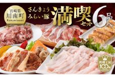 ※令和7年9月発送分※ 小分けで使いやすい！さんきょうみらい豚満喫セット 【 しゃぶしゃぶ 切り落とし ウデ モモ 鉄板焼 餃子 生ハム切り落とし ハンバーグ 】