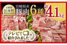 ヒルナンデスで紹介！※令和7年11月発送※宮崎県産豚肉６種　4.1kg 【国産 宮崎県産 豚 ぶた 肉 ロース バラ とんかつ 焼肉】