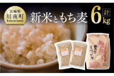 令和7年産　宮崎県産　お米5kg(夏の笑み)&もち麦500g×2袋 【 宮崎県産 米 こめ 精米 おにぎり もち麦 穀物 】