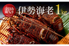 【訳あり】冷凍伊勢海老1kg（2～7尾） 【 伊勢海老 イセエビ 訳あり 魚介 】