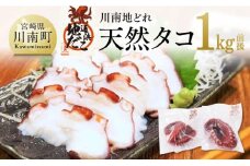 漁協直送！天然タコ（湯がき済）小分けで1kg前後 【 たこ 蛸 海産物 日向灘 地どれ 】