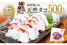 漁協直送！天然タコ（湯がき済）小分けで500g前後 【 たこ 蛸 海産物 日向灘 地どれ 】