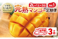 【3ヶ月定期便】完熟マンゴー定期便Vol.1 【 川南町産 くだもの マンゴー   】