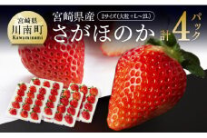 【令和8年発送】宮崎県産いちご　さがほのかセット（大粒×2パック・L～2L×2パック） 【 国産 イチゴ 苺 くだもの 果物 期間限定 数量限定 九州産】