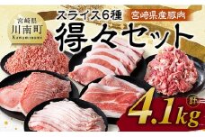 宮崎県産豚肉　6種得々セット　4.1kg 【 肉 豚肉 生姜焼き とんかつ ハンバーグ 】
