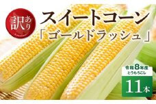 【訳あり】令和8年産とうもろこし　スイートコーン「ゴールドラッシュ」11本 【 新鮮 農家直送 トウモロコシ 産地直送 季節限定 期間限定 宮崎県産 九州産 】