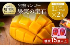 【令和8年発送】宮崎県産完熟マンゴー「果実の宝石」　L×2玉 【 果物 フルーツ マンゴー 宮崎県産 みやざきマンゴー 先行予約 数量限定 期間限定 】