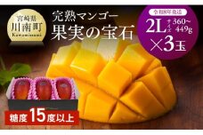 【令和8年発送】宮崎県産完熟マンゴー「果実の宝石」　2L×3玉 【 果物 フルーツ マンゴー 宮崎県産 みやざきマンゴー 先行予約 数量限定 期間限定 】