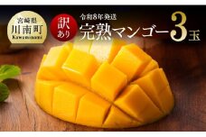 【令和8年発送】【訳あり】宮崎県産完熟マンゴー（ご自宅用）　完熟マンゴー3玉 【 果物 フルーツ マンゴー 宮崎県産 みやざきマンゴー 訳あり 先行予約 数量限定 期間限定 】