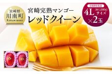 【令和8年発送】宮崎県産完熟マンゴー　「レッドクイーン」4L×2玉 【 果物 フルーツ マンゴー 宮崎県産 完熟マンゴー みやざきマンゴー 先行予約 数量限定 期間限定 】
