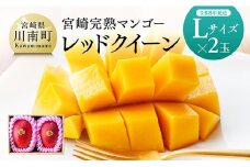 【令和8年発送】宮崎県産完熟マンゴー　「レッドクイーン」L×2玉 【 果物 フルーツ マンゴー 宮崎県産 完熟マンゴー みやざきマンゴー 先行予約 数量限定 期間限定 】