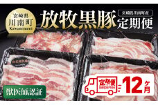 【12ヶ月定期便】宮崎県川南町産豚肉　放牧黒豚定期便 【 豚 肉 豚肉 国産 黒豚 九州産 宮崎県産 川南町 加工品 セット 送料無料 】