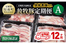 【12ヶ月定期便】宮崎県川南町産豚肉　放牧豚定期便A（放牧黒豚入り） 【 豚 肉 豚肉 黒豚 国産 九州産 宮崎県産 川南町 加工品 セット 送料無料 】