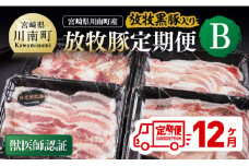 【12ヶ月定期便】宮崎県川南町産豚肉　放牧豚定期便B（放牧黒豚入り） 【 豚 肉 豚肉 黒豚 国産 九州産 宮崎県産 川南町 加工品 セット 送料無料 】