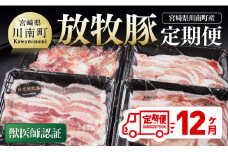 【12ヶ月定期便】宮崎県川南町産豚肉　放牧豚定期便 【 豚 肉 豚肉 国産 九州産 宮崎県産 川南町 加工品 セット 送料無料 】